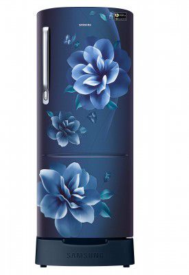 Samsung 230 L 3 Star Inverter Direct Cool Single Door Refrigerator (RR24A282YCU/NL)