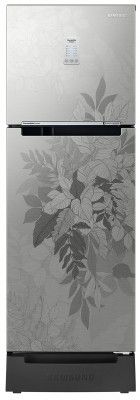 Samsung 253L 2 Star Frost-Free Double Door Refrigerator (RT28B3822QB/HL)