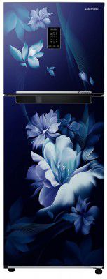 Samsung 314L 2 Star Frost-Free Double Door Refrigerator (RT34B4612UZ/HL)