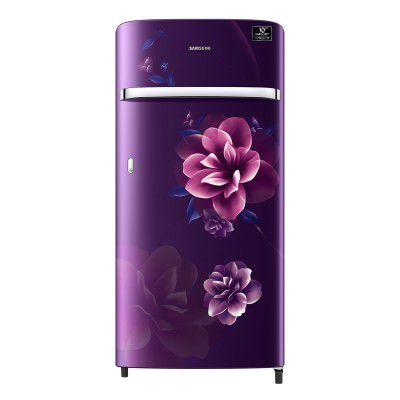 Samsung 198 Litres 4 Star Direct Cool Digital Inverter Single Door Refrigerator (RR21T2G2XCR/HL)