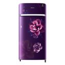 Samsung 198 Litres 4 Star Direct Cool Digital Inverter Single Door Refrigerator (RR21T2G2XCR/HL)...