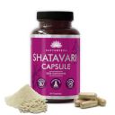 SAPTAMVEDA Natural Shatavari Capsules (60 Capsule) | Women Wellness Capsules | Hormonal Balance | Good for PCOD/PCOS | Restore Stamina and Energy...