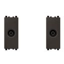 Schneider Electric Zencelo India-TV Socket - Dark Grey (Pack of 2)...