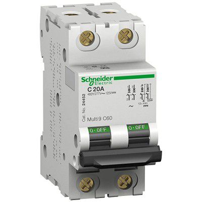 Schneider MCB 10A DP C-Curve ACTI9 10kA (A9N2P10C)
