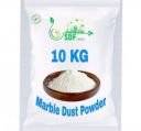 SDF INDIA Marble dust, White Marble Powder for Mural Art, Relief Painting, Raised Art, Persian Art, DIY, Gift for Artists, Students, Children & for All Arts (10)...