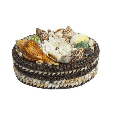 SEA BLOSSOM Maya Bazaar Vintage Oval Shaped Seashell Decorative Jewelry Box Seashell Show Pieces For Home Decor