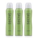 Secret Temptation Affair Deodorant, 150ml each (Pack of 3)...