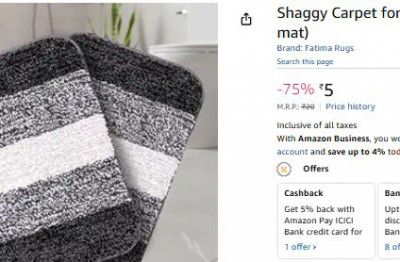Shaggy Carpet for Living Room & Bedroom (Door mat)