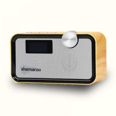 Shemaroo Amrit Bani Gurbani 5 Watt 5.0 Channel Wireless Bluetooth Speaker