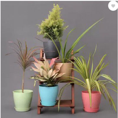 Shiswa 5 Pcs Round Flower Pots with tray for Home & Decoration Planters, Garden Plant Container Set  (Pack of 5, Plastic)