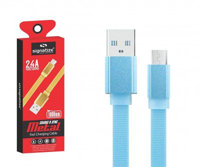 Signatize USB Type C Cable CB3018