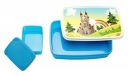 Signoraware Castle Plastic Lunch Box Set, 2-Pieces, Blue...
