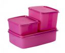 Signoraware Mini Plastic Fridge Container Set, 3-Pieces...