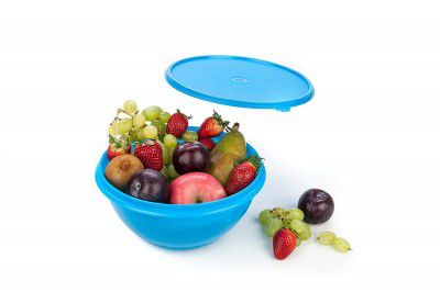 Signoraware Wonder Bowl Jumbo Container