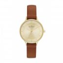 Skagen Anita Lille Brown Watch SKW2147...