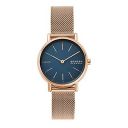 Skagen Stainless Steel Analog Blue Dial Women Watch-Skw2837, Gold Band...