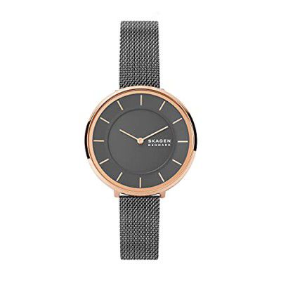 Skagen Womens Gitte Two Hand Stainless Steel Watch