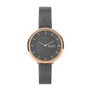 Skagen Womens Gitte Two Hand Stainless Steel Watch...