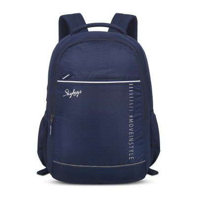 Skybags Ikon 01 22 Litre Casual College Standard 4 Compartment Backpack Blue