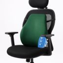 Sleepsia Back Support for Office Chair...