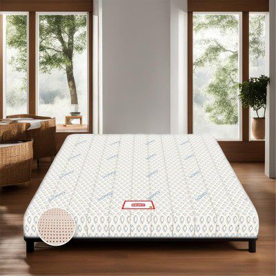 Sleepspa Coirfit Biolife 7-Zone 100% Natural 10 Inch Queen Latex Mattress|10 Years Warranty, (75X60X10 Inches)