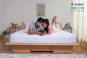 Sleepwell Cocoon DIY Platform Bed, Queen Size- 78x60, Oak Color...
