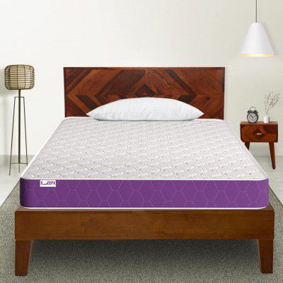 SleepX Ortho Plus Quilted 5 inch Single Bed Size, Memory Foam Mattress (Purple, 72x35x5)