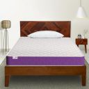 SleepX Ortho Plus Quilted 5 inch Single Bed Size, Memory Foam Mattress (Purple, 72x35x5)...