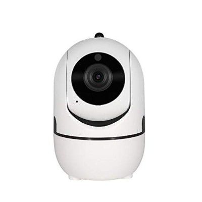 Smartpup 1.3 MP TV-Out Digital Video Recorder Dome PTZ Camera with Night Vision Inbuilt SD Card Slot