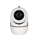 Smartpup 1.3 MP TV-Out Digital Video Recorder Dome PTZ Camera with Night Vision Inbuilt SD Card Slot...
