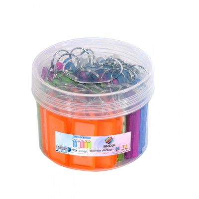 SNDIA 50 Pcs Key Tag Multicolor Keyring & Keychain With Name Tag Labels
