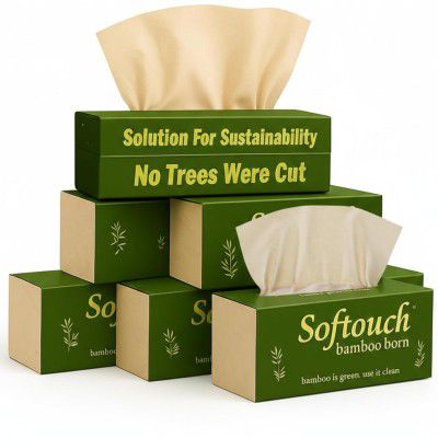 Softouch 2 Ply Face tissue paper 100 pulls 200 sheets Each Pack - Set of 6