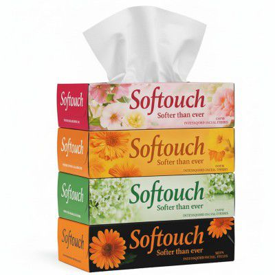 Softouch 2 Ply Facial Tissue Box | Car Tissue - Pack of 4 (100 Pulls Per Box, 800 Sheets)