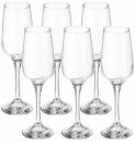 Solimo Champagne Glass Set, 220ml, Set of 6, Transparent...