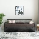 Solimo Darius Metal Sofa Cum Bed...