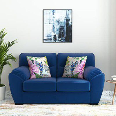 Amazon Brand - Solimo Ferbane 2-Person Sofa (Fabric, Royal Blue)