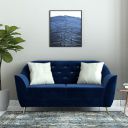 Amazon Brand - Solimo Glandore 2 Seater Sofa (Fabric, Midnight Blue)...