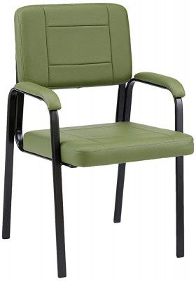 Amazon Brand - Solimo Ivalo Chair/Reception Chair (Green)