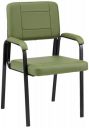 Amazon Brand - Solimo Ivalo Chair/Reception Chair (Green)...