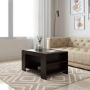 Solimo Maple Engineered Wood Coffee Table...