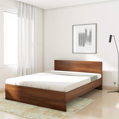 Solimo Medusa Engineered Wood Queen Size Bed Without Storage