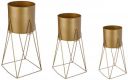 Solimo Metal Planters Pot Holder (Square Base) with Metal Plant Stand (Gold, Set of 3) | Tall Indoor Plant Stand with Planter Pot, Suited for Indoor/Outdoor...