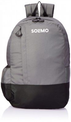 Solimo Nylon Backpack, 23 Ltr (Grey/Black)