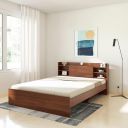 Solimo Picton Engineered Wood Queen Size Bed Without Storage (Asian Walnut)