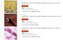 Solimo PVC Self-Adhesive Wallpaper Upto 82% Off...