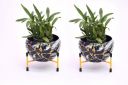 Solimo Tripod Stand | Set of 2 | Flower Design | Iron | Black...
