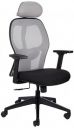 Amazon Brand - Solimo Trogir High Back Mesh Office Chair (Grey & Black)...