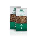 Solimo Whole Durum Wheat Penne Pasta, 500g Pack of 2...