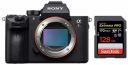 Sony Alpha ILCE-7RM3 Full-Frame 42.4MP Mirrorless Digital SLR Camera...