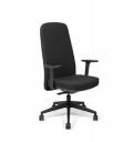 SOS Spacewood LiteOffice Aura High Back Nylon Base Ergonomic Office Chair (Black)...